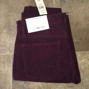 LOFT maroon pants